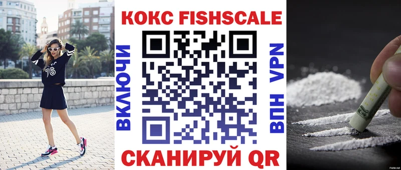 Cocaine Fish Scale  Купить закладки  Видное 