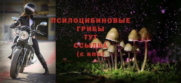 кокаин перу Заводоуковск