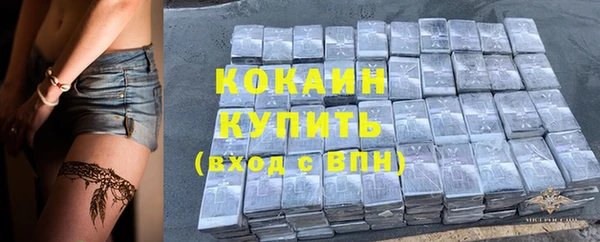 ГАЛЛЮЦИНОГЕННЫЕ ГРИБЫ Заволжье