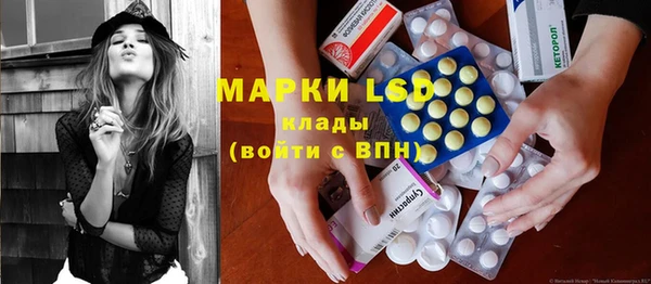 ГАЛЛЮЦИНОГЕННЫЕ ГРИБЫ Заволжье