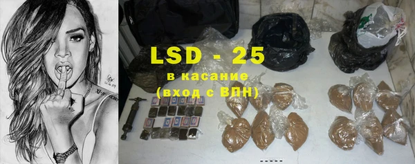 ГАЛЛЮЦИНОГЕННЫЕ ГРИБЫ Заволжье