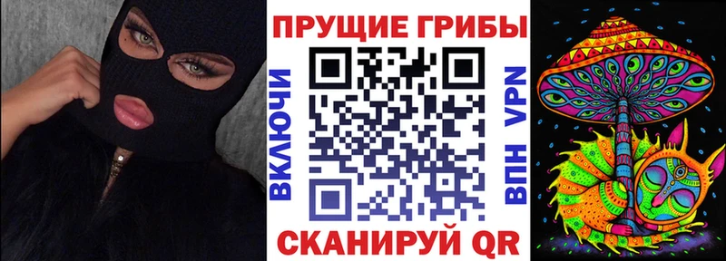 Купить закладки  Видное  Псилоцибиновые грибы MAGIC MUSHROOMS 
